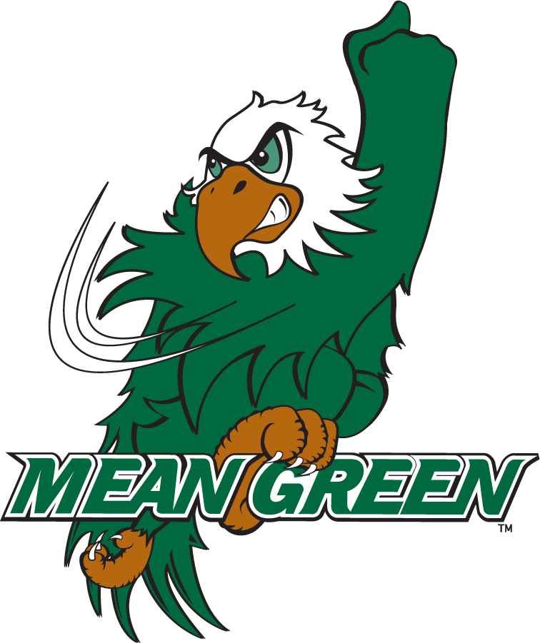 North Texas Mean Green 2003-2005 Mascot Logo v2 DIY iron on transfer (heat transfer)